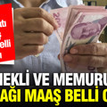 Kıdem tazminatı, engelli aylığı, 65 yaş maaşı değişti: Memur ve memur emeklisinin zamlı maaşı ortaya çıktı