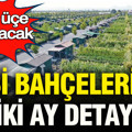 Hobi bahçelerinde iki ay detayı: Ceza üçe katlanacak