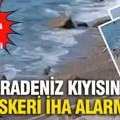 Karadeniz kıyısında askeri İHA alarmı: Sahile vurunca bölge kapatıldı