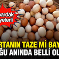 Bir bardak su yeterli: Yumurtanın taze mi bayat mı olduğu anında belli oluyor