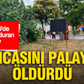 Kocaeli'de kan donduran olay: Amcasını palayla öldürdü