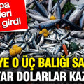Türkiye o üç balığı satarak milyar dolarlar kazandı: Avrupa ülkeleri sıraya girdi