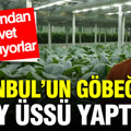 İstanbul’un göbeğinde uzay üssü yaptılar: Yer altında servet hasat ediyorlar