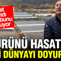 60 dönümle başladı, şimdi servet hasat ediyor: Bu sera dünyayı doyuruyor