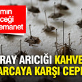 Tarımın geleceği onlara emanet: Samuray arıcığı, kahverengi kokarcaya karşı cephede