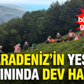 Karadeniz’in yeşil altınında dev hasat: 26 yıldır böyle sezon görmediler