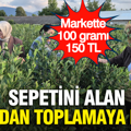 Markette 100 gramı 150 TL: Sepetini alan dalından toplamaya koştu