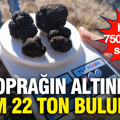 Kilosu 750 Euro’ya satılıyor: Toprağın altında tam 22 ton bulundu