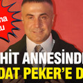 Şehit annesinden Sedat Peker'e dua