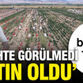 Tarlada hasat başladı fiyatı 1 yılda 10 kat arttı: 'Tarihte görülmedi, altın oldu'