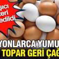 Milyonlarca yumurta apar topar geri çağrıldı: Bulaşıcı bakteri tespit edildi