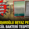 Tahsildaroğlu marka peynirde ölümcül Listeria bakterisi tespit edildi: Binlerce markette satılıyor