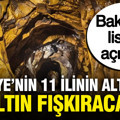Türkiye'nin 11 ilinin altından altın çıkarılacak: Bakanlık listeyi açıkladı
