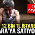 Fiyatı 12 bin TL, İstanbul ve Ankara’ya satıyorlar: 18 yıl dayanıyor