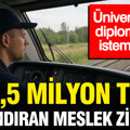 3,5 milyon TL kazandıran meslek zirvede: Üniversite diploması istemiyor