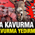 Bakanlık açıkladı: 9 üründe at-eşek eti tespit edildi