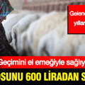 15 kilosunu 600 liradan satıyor: Geçimini el emeğiyle sağlıyor