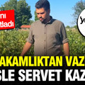 Kaymakamlıktan vazgeçti, hasat etti: Parasını 100’e katladı
