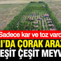 Kar ve tozdan başka bir şey yoktu: Ağrı’da çorak arazide çeşit çeşit meyve yetiştirdi