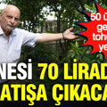 50 ülkeden getirdiği tohumlarla yetiştirdi: Tanesi 70 liradan satışa çıkacak