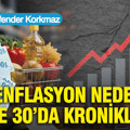 Enflasyon neden yüzde 30’da kronikleşti?