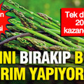 Altını bırakıp buna yatırım yapıyorlar: Çiftçilerin gözdesi... Tek dikimle 20 yıl kazandırıyor
