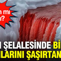 Bilim insanlarını şaşırtan keşif: Kan Şelalesi'nde yaşam izi