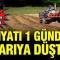 Fiyatı 1 günde yarıya düştü: Üreticiler durumdan şikayetçi