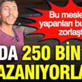 Ayda 250 bin TL kazanıyorlar: Bu mesleği yapanları bulmak zorlaştı