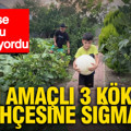 Hobi amaçlı 3 kök ekti, 1 tonluk hasat elde etti: Kimse bunu beklemiyordu