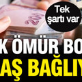 SGK ömür boyu maaş bağlıyor: Tek şartı var