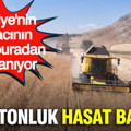 Türkiye'nin ihtiyacının yarısı buradan karşılanıyor: 6 bin tonluk hasat başladı
