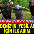 Karadeniz’in ‘yeşil altını’ için ilk adım: Yevmiye 3 bin lira: Çuvallar doluyor, horon tepiliyor