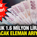 Aylık 1.6 milyon liraya çalışacak eleman arıyorlar: Tek bir kriterleri var…