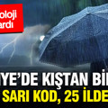 Meteoroloji il il saat verdi: 25 ilde gök gürültülü sağanak, 15 ilde sarı kod