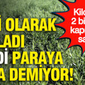 Hobi olarak başladı, şimdi paraya para demiyor: Kilogramı 2 bin TL kapış kapış satılıyor