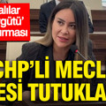 ‘Şapkalılar Suç Örgütü’ soruşturması: CHP’li meclis üyesi tutuklandı