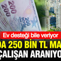 Ayda 250 bin TL maaşa çalışan aranıyor: Ev desteği bile veriyor