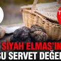 Siyah Elmas'ın kilosu servet değerinde: Türkiye'de yetişiyor: Bulan zengin oluyor