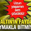 Uzun yaşamın sırrı çözüldü: 'Sıvı altın'ın faydaları saymakla bitmiyor