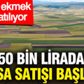 150 bin liradan arsa satışı başladı: Peynir ekmek gibi satılıyor