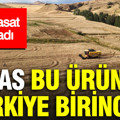Dev hasat başladı: Sivas bu üründe Türkiye birincisi