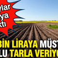 100 bin liraya müstakil tapulu tarla veriyorlar: Detaylar ortaya çıktı