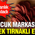 Bakanlık açıkladı: 5 sucuk markasında tek tırnaklı eti tespit edildi