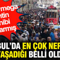 İstanbul'da en çok nerelinin yaşadığı belli oldu: Meğer mega kentin sahibi onlarmış