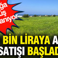 300 bin liraya arsa satışı başladı: Peynir ekmek gibi satılıyor