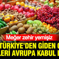 Meğer zehir yemişiz: Türkiye’den giden o ürünleri Avrupa kabul etmedi