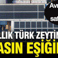 40 yıllık Türk zeytin devi iflasın eşiğinde: Avrupa'ya bile satıyordu