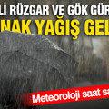 Meteoroloji saat saat uyardı: Gök gürültülü sağanak yağış ve kuvvetli rüzgar geliyor