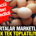 Belçika'da yumurtalar marketlerden tek tek toplatılıyor: Ölümcül bakteri tespit edildi